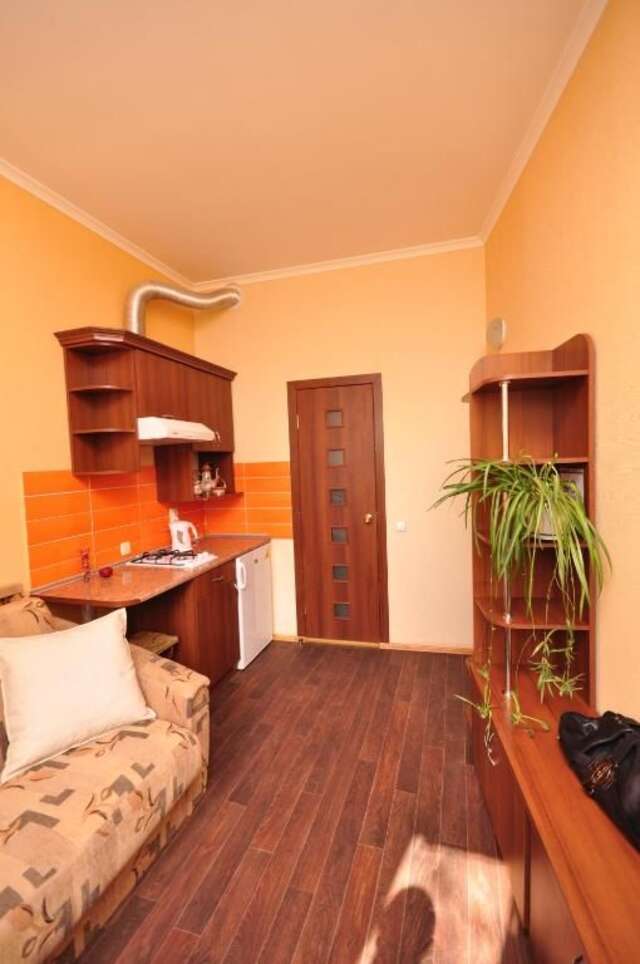 Апартаменты Apartments near railway station Харьков-31