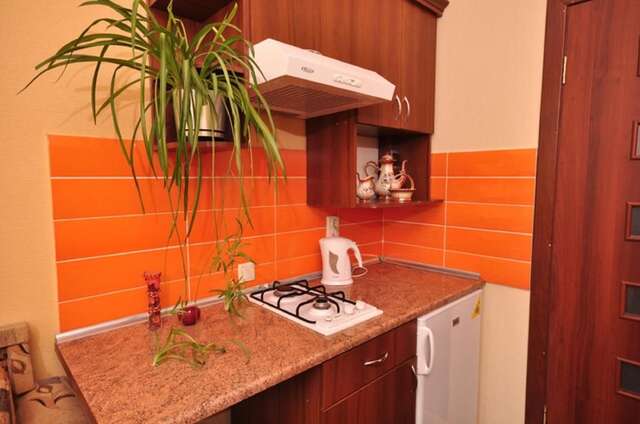 Апартаменты Apartments near railway station Харьков-34